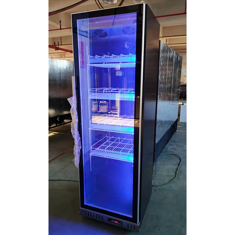Wine Beer Fridge Cabinet - Custom Large Red Wine Cooler Refrigerator