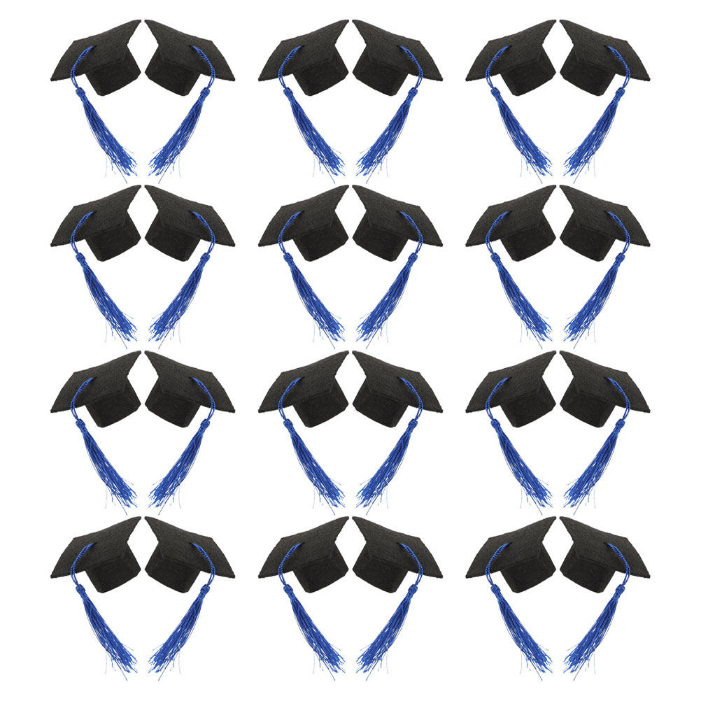24Pcs Mini Graduation Hats Tas - Wine Beer Hat recension och pris