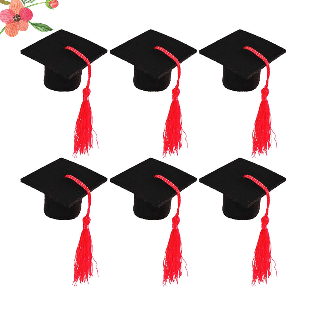 6Pcs Mini Doctoral Party Wine  - Beer And Wine Festival recension och pris